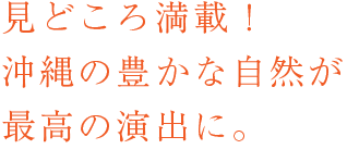 見どころ満載！沖縄の豊かな自然が最高の演出に。